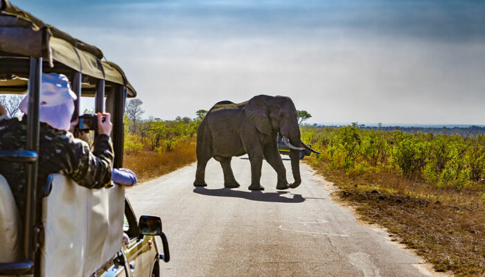 4 common mistakes to avoid on a safari